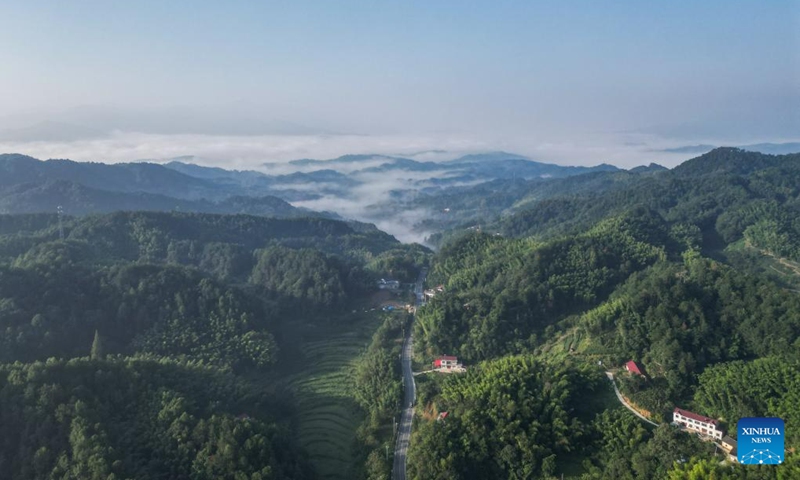 China’s top environmental engineer: Nation’s air quality improvement, climate governance mutually beneficial