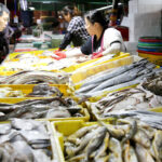 Japanese seafood exports to China in Sep fall to near zero amid continued fear of contamination