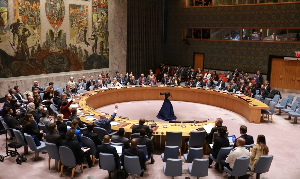 Divide deepens as UNSC fails to pass several resolutions to halt Gaza fight