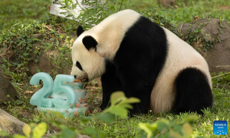 US political elites are far narrow-minded than general public when it comes to pandas