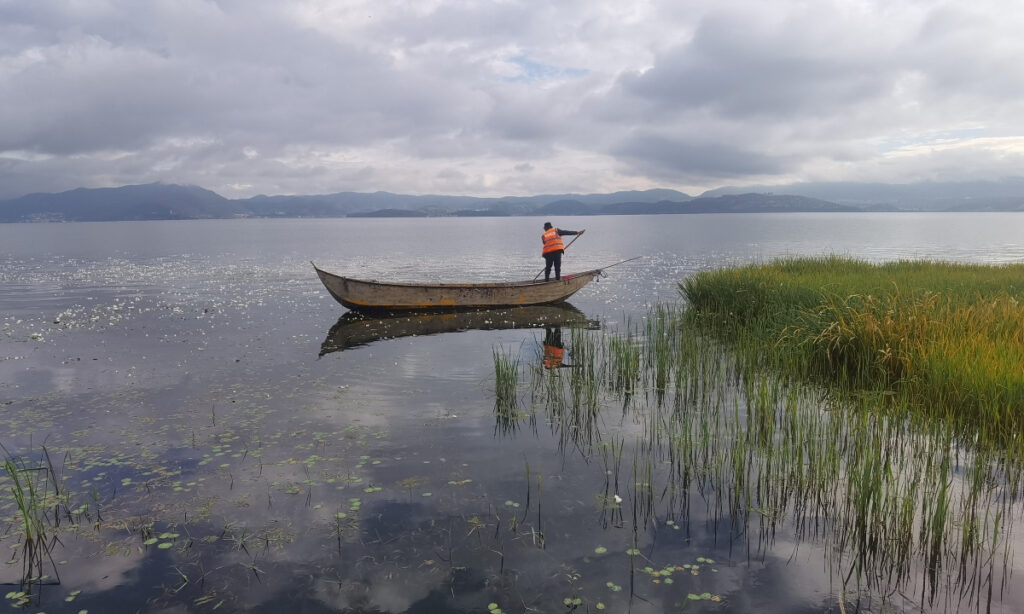 Decade-long conservation efforts in Erhai Lake create dream-like lake