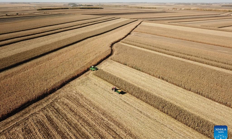 Cold spell to have ‘limited’ impact on autumn harvest, grain prices: expert