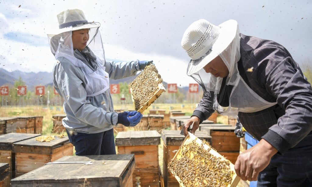 ‘Forced labor’ allegation on China’s Xizang region is purely defamatory: senior regional official