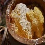 Rukum Paschim produces honey worth Rs 25 million