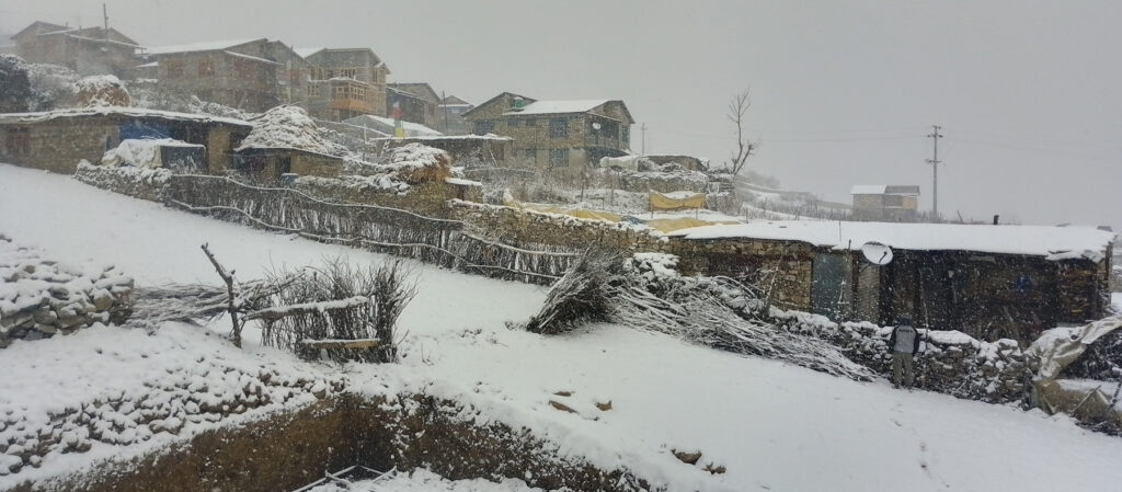 Snowfall in Jumla brings cheers to farmers