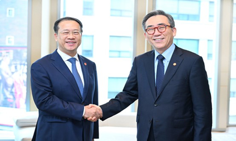 Vice FMs of China, S.Korea hold strategic talks in Seoul, agree to properly handle difference