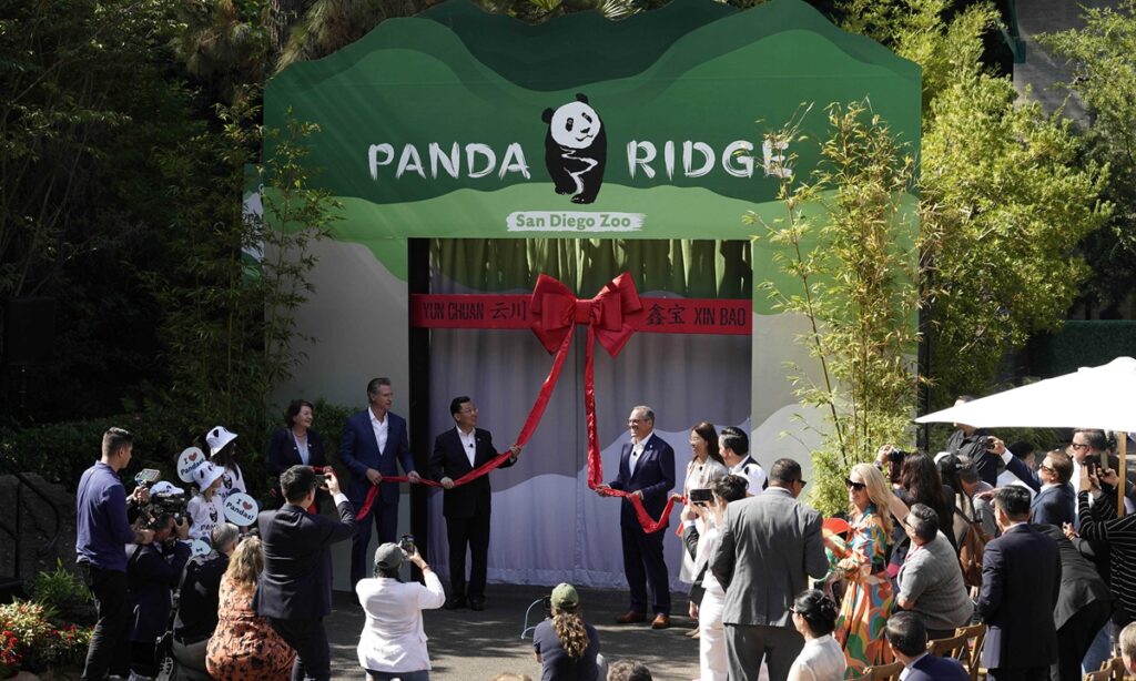 Public debut of Yun Chuan and Xin Bao ignite a fresh wave of ‘panda-mania’ in US